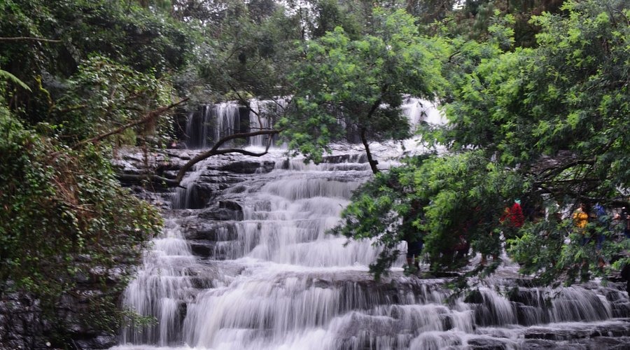 Day 04: Kodaikanal Sightseeing